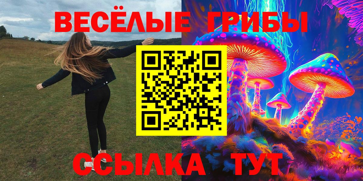Галлюциногенные грибы Cubensis  Псилоцибиновые грибы Psilocybe  Избербаш  Вход с VPN 